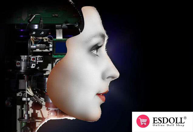 spettacolo di robot sessuali intelligenti