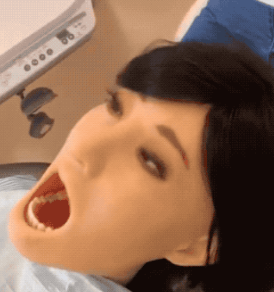 Japanese University Uses Reality Sex Dolls for Medical Teaching 6
