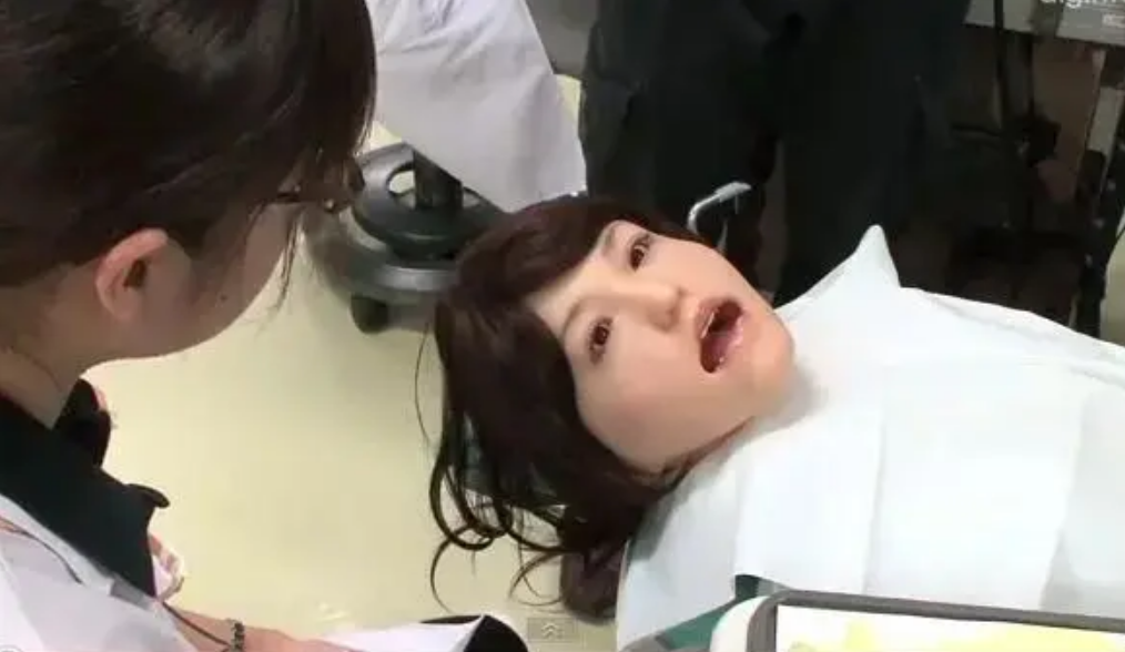 Japanese University Uses Reality Sex Dolls for Medical Teaching 7