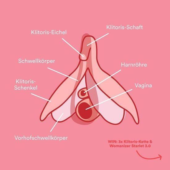 Vaginal Clitoris Pendant