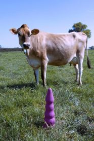 uk-university-students-design-sex-toys-for-cows