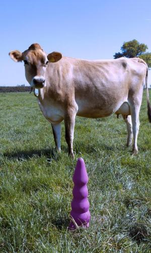 Britse universiteitsstudenten ontwerpen seksspeeltjes voor koeien