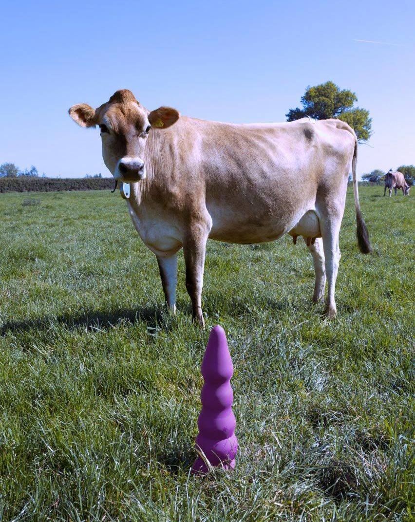 uk-university-students-design-sex-toys-for-cows