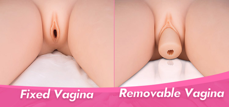 removable-vagina-and-fixed-vagina