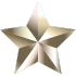 platinum-icon-5