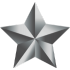 silver-icon-3
